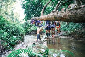 BIB: 
                            <button type="button" onclick="openModal(25464537)" class="btn btn-primary btn-sm float-right btn-popup" data-toggle="modal" data-target=".modal-high-quality">
                        <i class="fas fa-shopping-cart"></i> Add to Cart
                    </button>
                                            <button type="button" onclick="isThisMe(25464537, true)" class="btn btn-success btn-sm float-right btn-popup btn-isme hidden" data-toggle="tooltip" data-placement="bottom" title="นี่คือรูปของคุณใช่ไหม คลิกที่นี่เพื่อเอาเข้าอัลบั้ม">
                        <i class="fas fa-plus"></i> Add to album
                    </button>
                    <button type="button" onclick="isThisMe(25464537, false)" class="btn btn-warning btn-sm float-right btn-popup btn-isnotme hidden">
                        <i class="fas fa-ban"></i> Remove from album
                    </button>